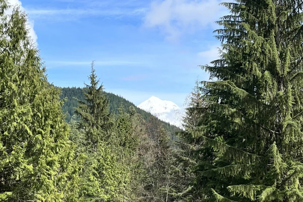 A breathtaking view of a snow-capped mountain—likely Mt. Hood—peeking above dense evergreen trees beneath a gentle sky. The setting is tranquil, expansive, and emblematic of year-round mountain adventure, with hints of hiking trails and natural wilderness.